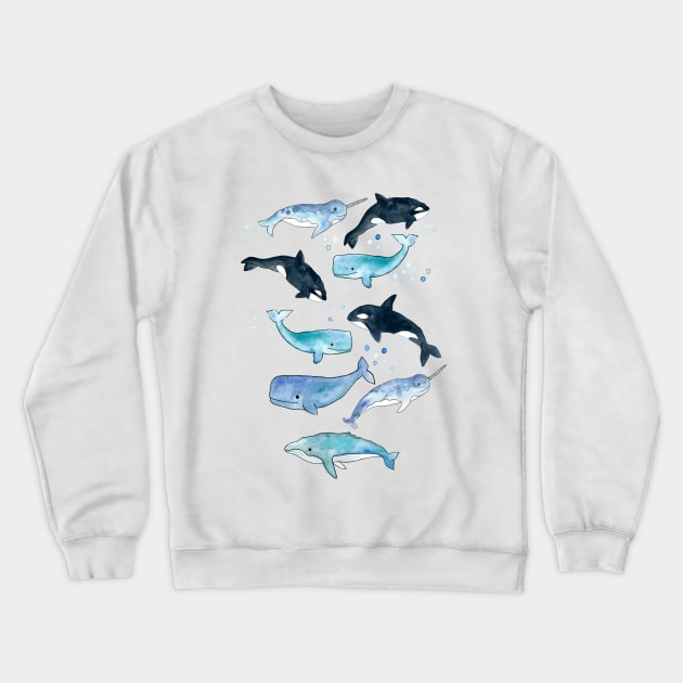 Whales, Orcas & Narwhals Crewneck Sweatshirt by tangerinetane